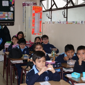 Día de la Actividad Física